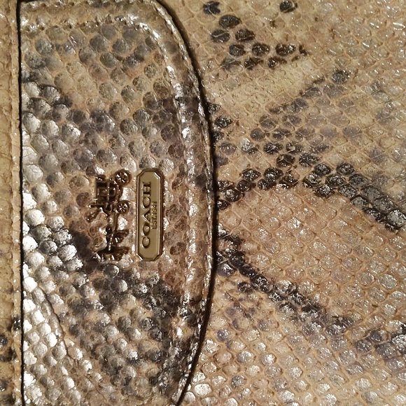 Coach shimmer snakeskin pattern wristlet/bag in cream & gray w/ gold hardware - Picture 3 of 14